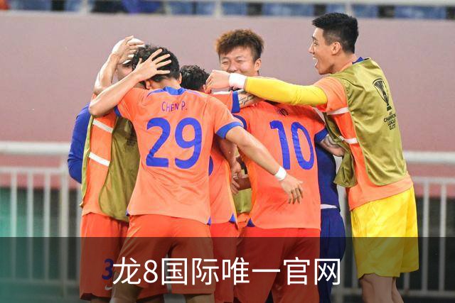 龙8国际唯一官网公司介绍展示图